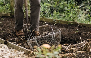 Digging up a flower bed