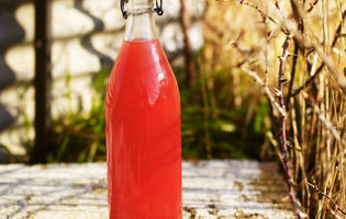 Rhubarb, Orange, Anise and Honey Cordial