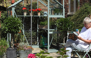 A well stocked small garden