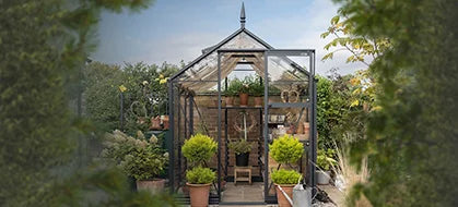 A glass Rhino Greenhouse filled with potted plants stands in a lush garden setting. Framed by foliage, it features a peaked roof and a central pathway.