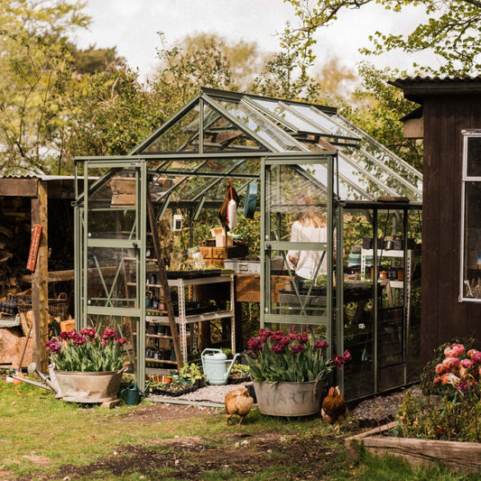 A glass Rhino Greenhouse houses a person tending to plants, surrounded by gardening tools and greenery. Nearby, two hens peck at the grass beside potted tulips and a wooden shed.