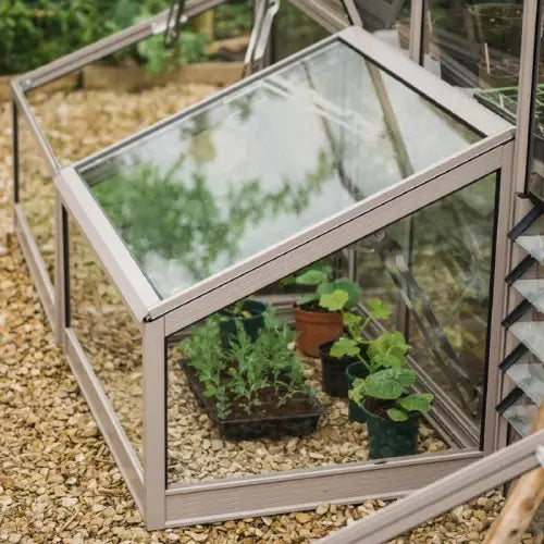 A glass-topped mini Rhino Greenhouse shelters small potted plants. It's positioned on a gravel-covered garden path, with other garden plants visible in the background.
