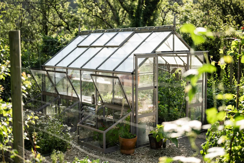 A glass-paneled Rhino Greenhouse stands in a lush garden, sunlight streaming through. It shelters potted plants and greenery, surrounded by trees and shrubs on a gravel pathway.