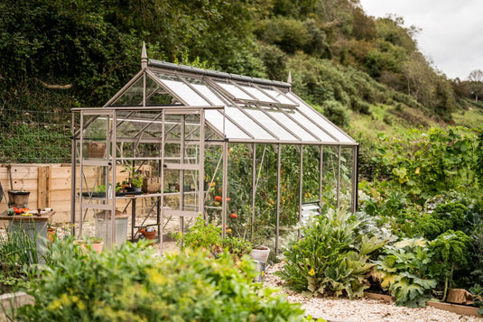 A glass Rhino Greenhouse houses potted plants and gardening tools, surrounded by lush vegetable gardens and a wooden fence, set against a backdrop of dense, green foliage.