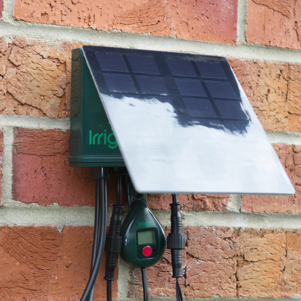 Wall mounted irrigation system