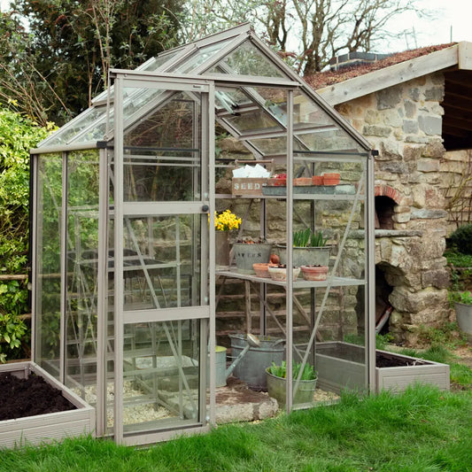 A glass Rhino Greenhouse contains pots of plants and gardening supplies on shelves. It's set in a garden with a weathered stone wall and other greenery surrounding it.