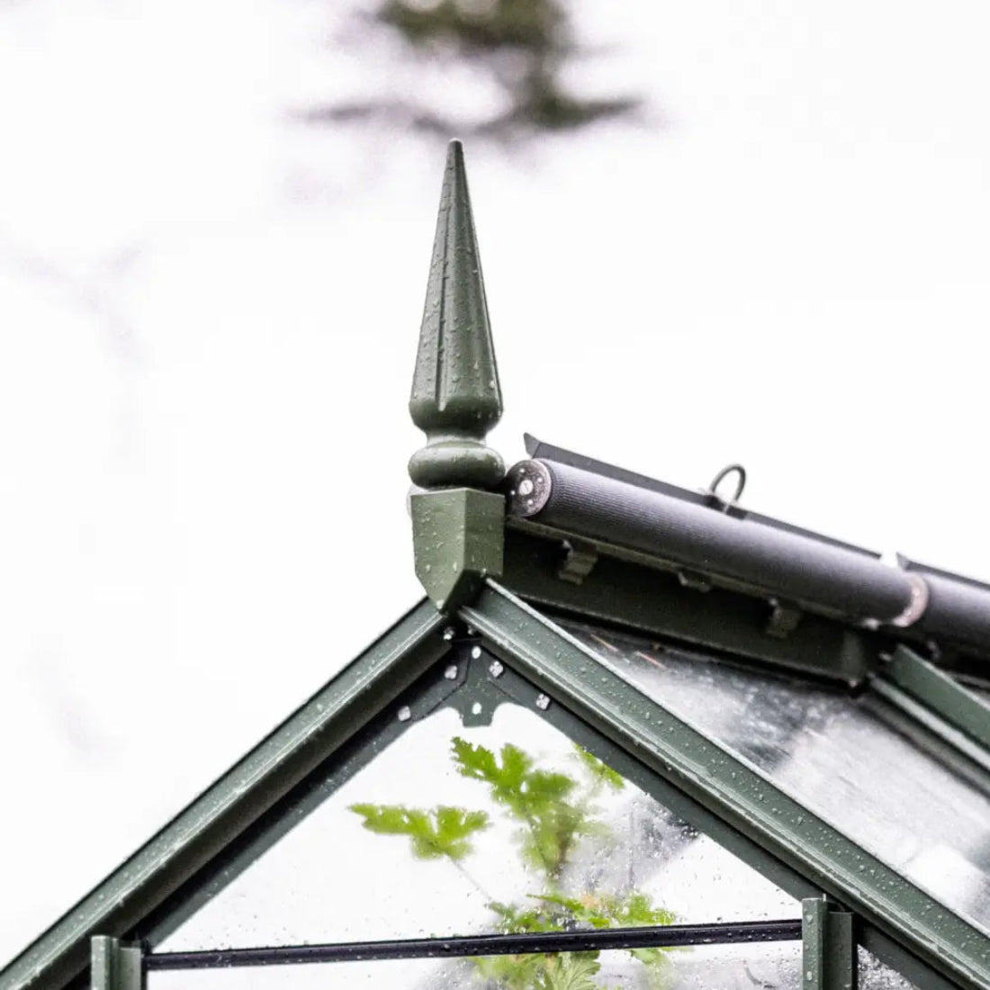 A green Rhino Greenhouse roof with decorative finial shows leaves inside, framed by wet glass panes. A tube structure is attached, against a blurred white background.