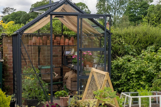 A glass Rhino Greenhouse stands with potted plants and gardening tools inside. It's surrounded by lush greenery and a brick wall. A wooden frame and more plants appear in the foreground.