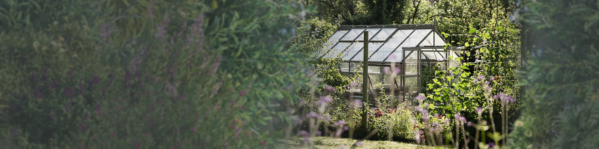 A Rhino Greenhouse stands amongst lush greenery and colorful flowers, surrounded by trees and sunlight filtering through, creating a serene garden environment.