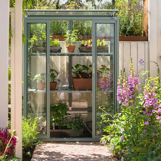 A small Rhino Greenhouse enclosed by glass features thriving potted plants on shelves. It's situated in a sunny garden surrounded by lush plants and vibrant flowers.