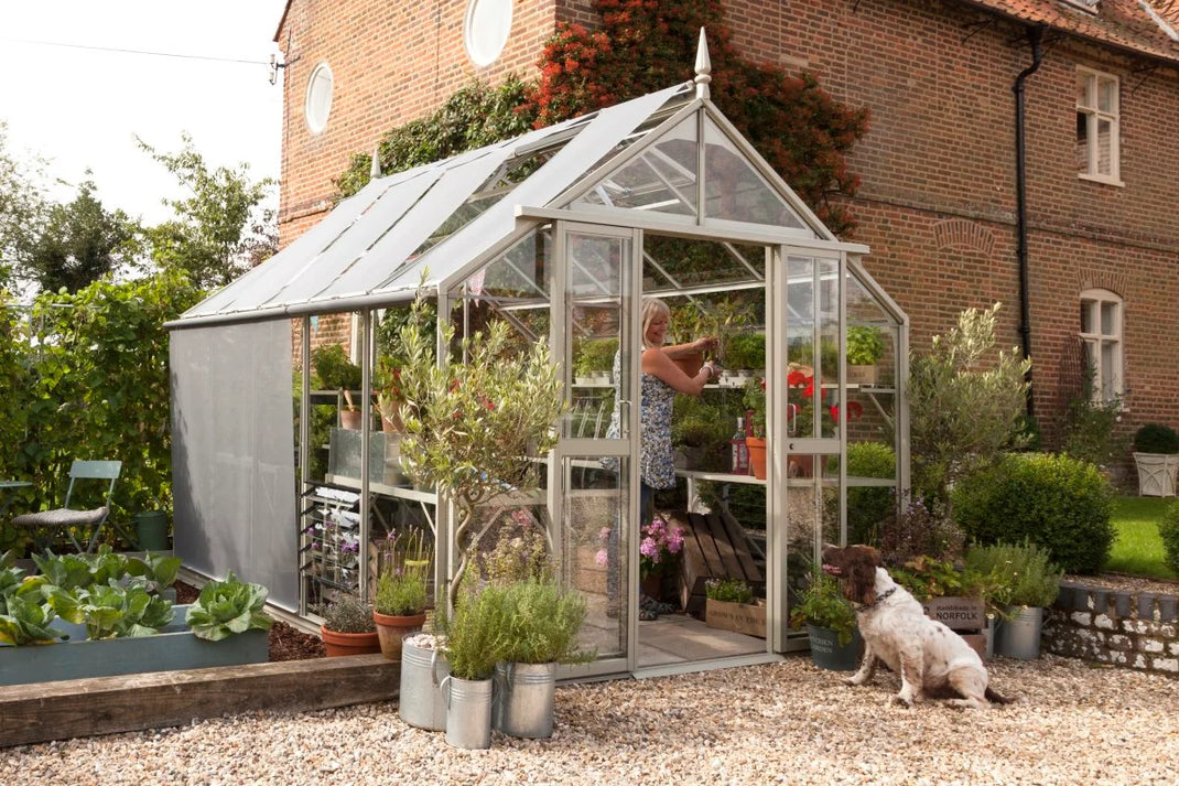 A woman tends to plants inside a glass Rhino Greenhouse, accompanied by a dog. The Rhino Greenhouse is surrounded by a garden with various plants and a brick house in the background.