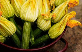 Courgettes in a bowl