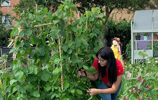 Ellen in her allotment