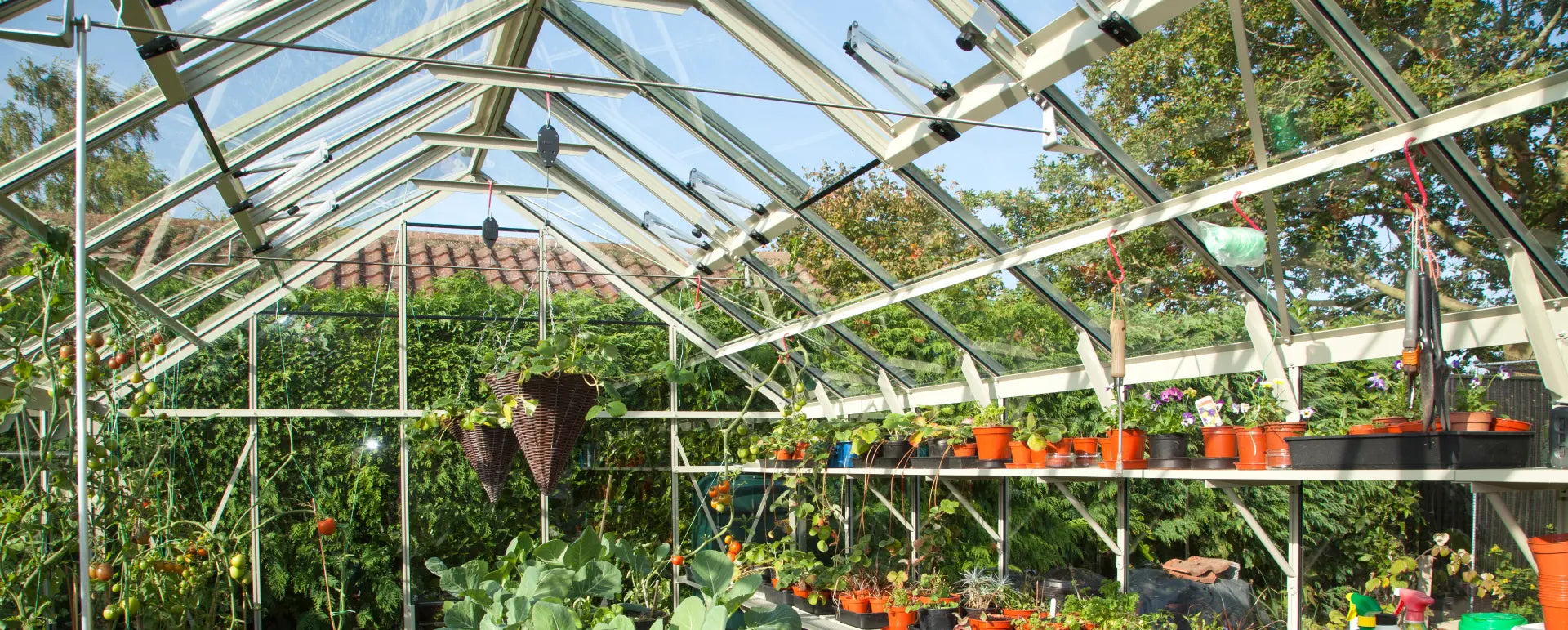 A Rhino greenhouse full of plants and seedlings