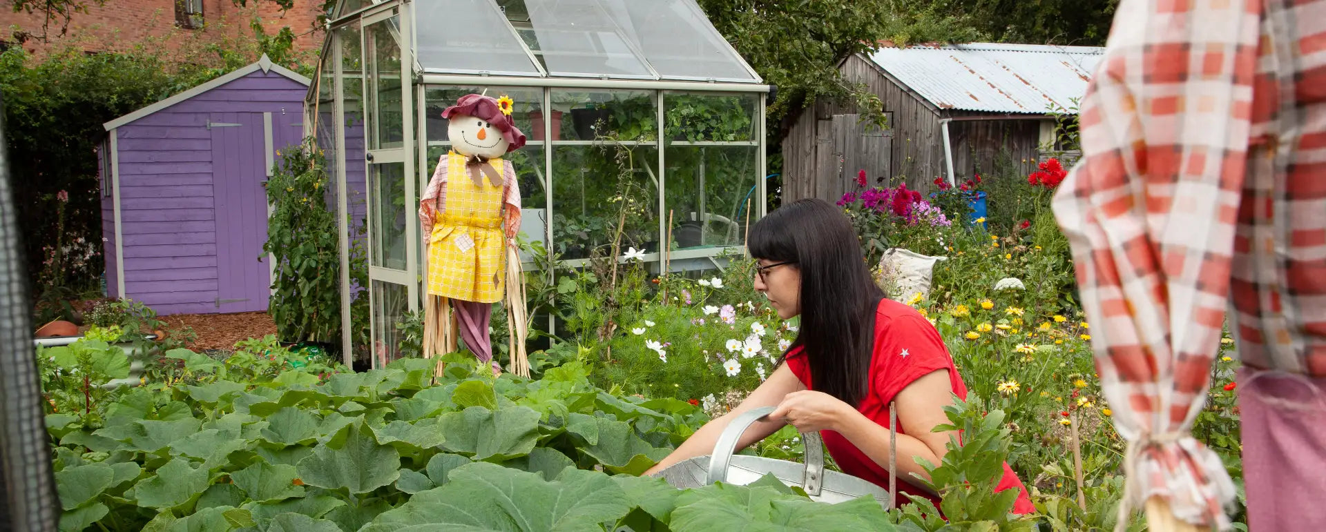 Ellen in her allotment