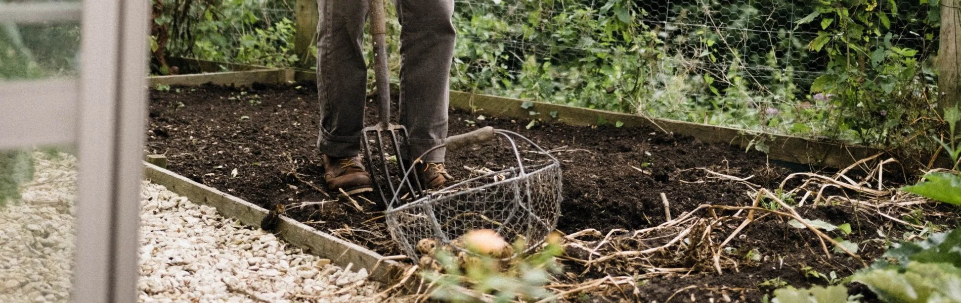 Digging up a flower bed