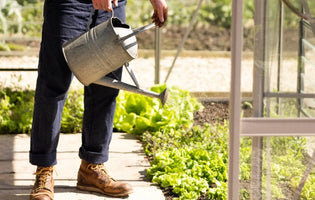 Man watering some plants in his greenhouse