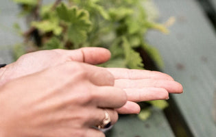 Pair of hands holding seeds