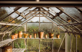 Winter 22 Journal- Gill Meller