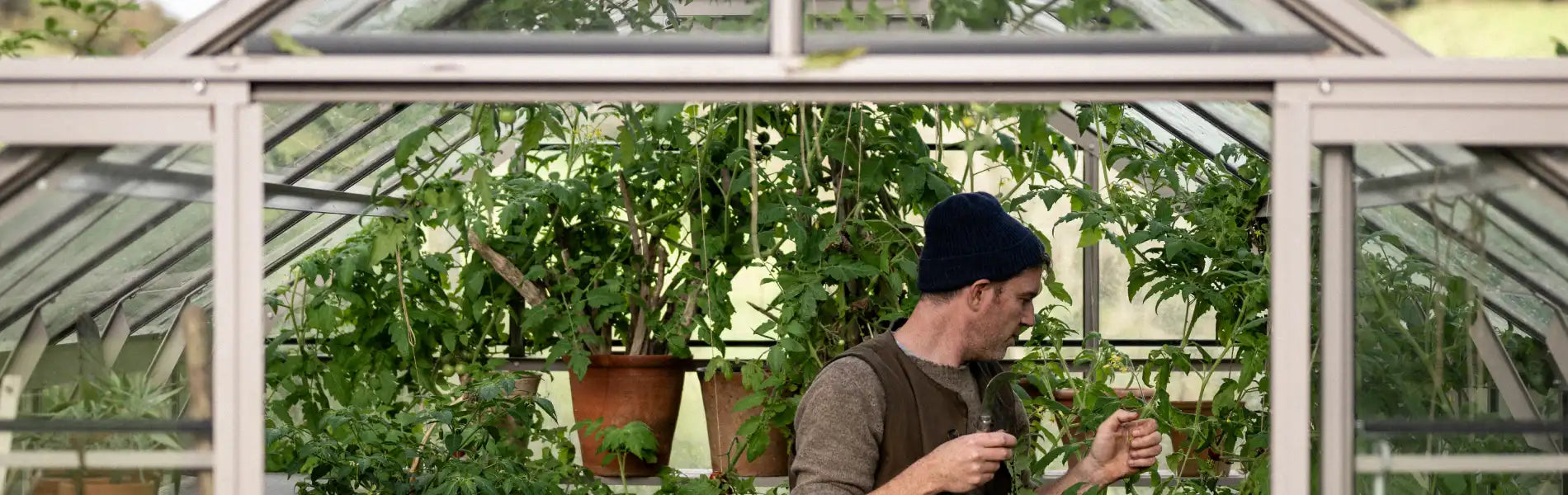 Why Now is the Perfect Time to Buy a Greenhouse