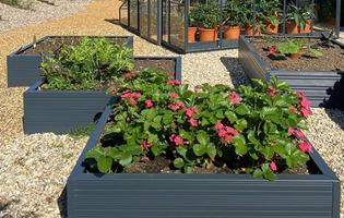 Raised Beds