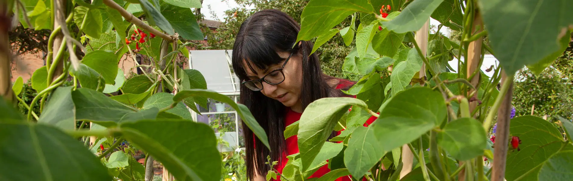 Ellen looking after her plants