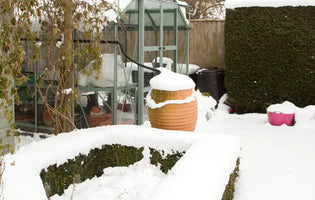 Snowy garden setting