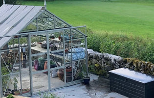 The differences between standard and accessible greenhouses