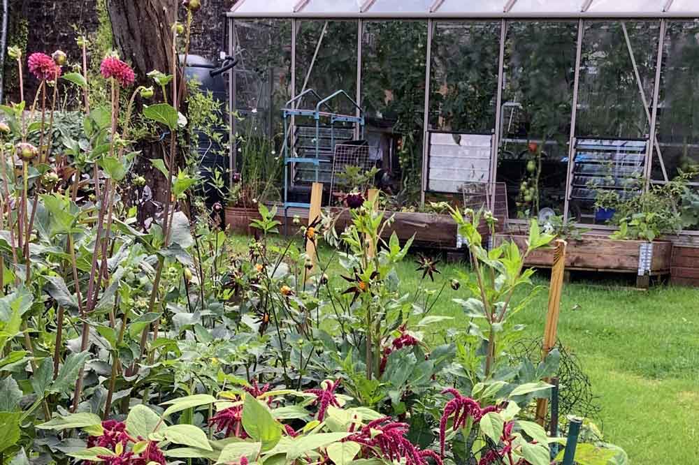 Flower Farmer's Blog: Late Summer & Autumn Flower Sowing