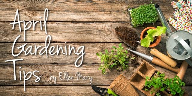 April Gardening Tips
