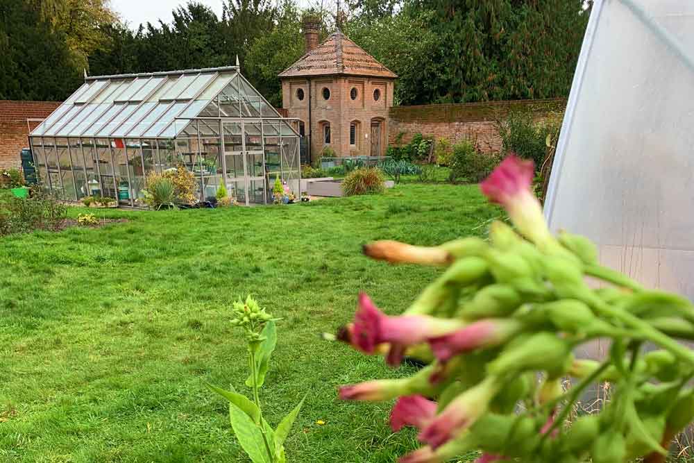 September at Norfolk School of Gardening - Seed Collecting & Popular Courses