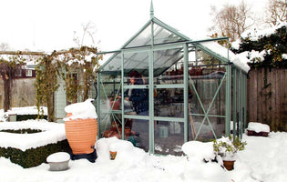 How To Keep Your Greenhouse Warm in Winter