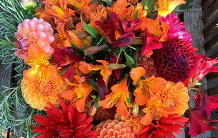 Flower Farmer's Blog: Autumn on the Horizon
