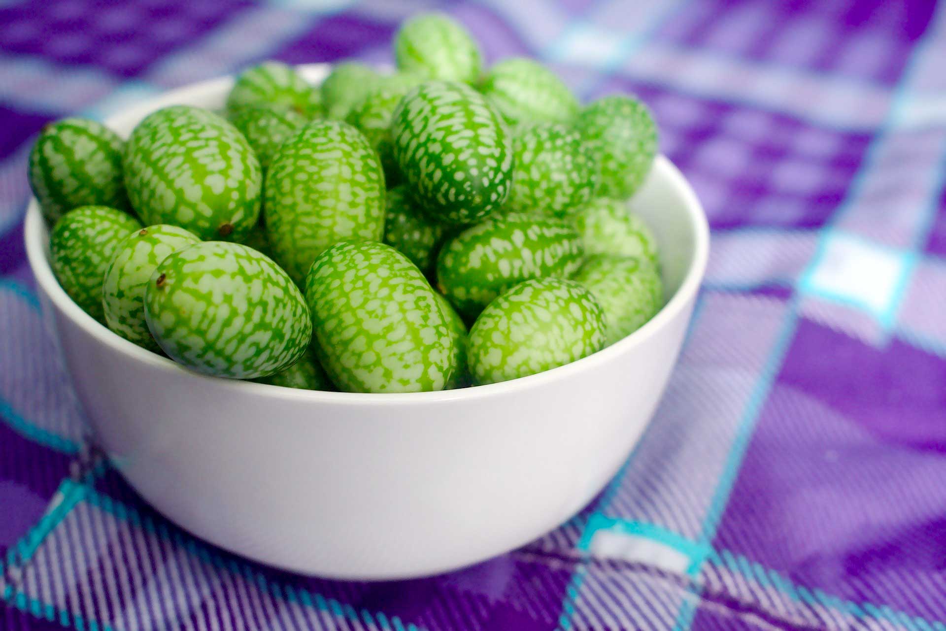 Mini Cucumber seeds! Great for allotments/greenhouses/gardens