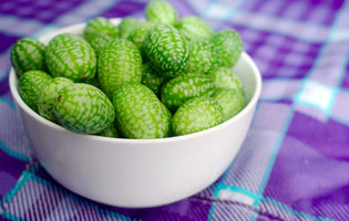 Cucamelons - A worthy crop?