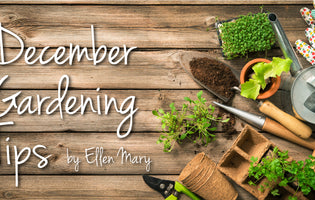 December Gardening Tips