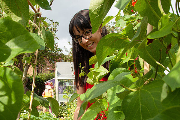January Allotment Blog