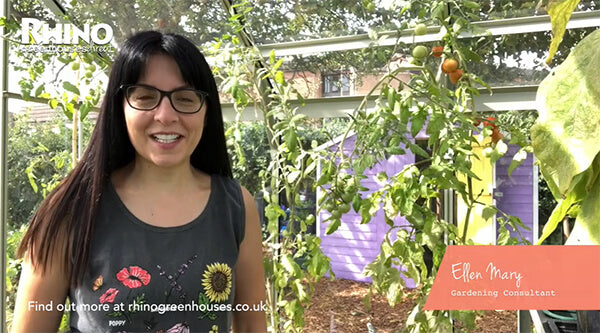 Your Greenhouse in September