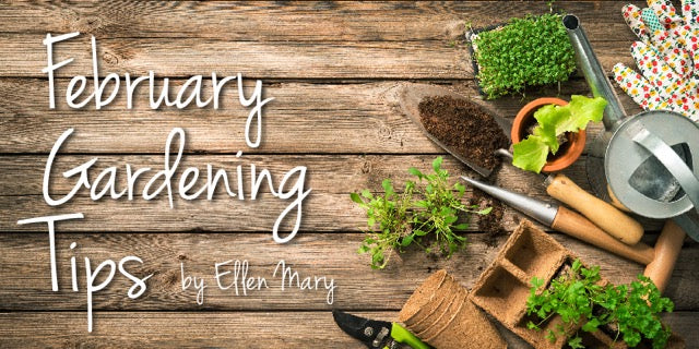 February Gardening Tips