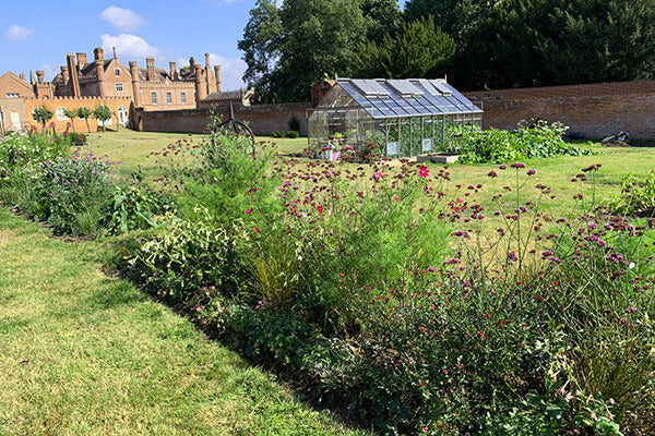 This week from Norfolk School of Gardening - Flowers, flowers, flowers