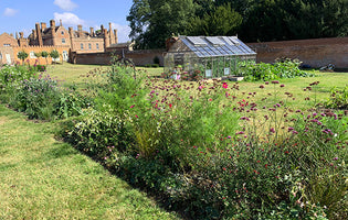 This week from Norfolk School of Gardening - Flowers, flowers, flowers