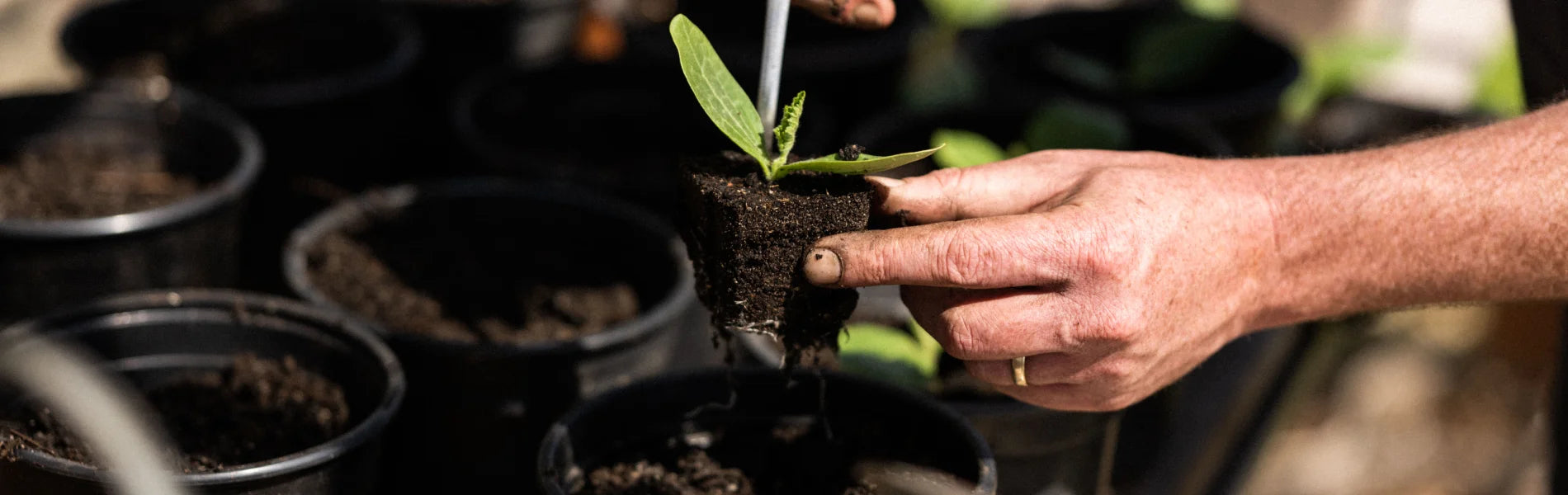 Spring Garden Prep: 13 Easy Steps to Follow