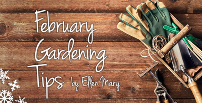 February Gardening Tips