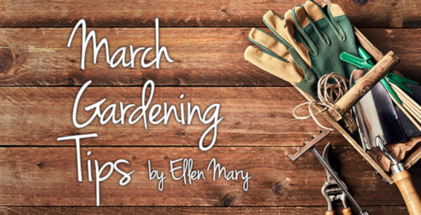 March Gardening Tips