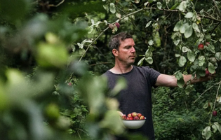Gill picking plums in his garden