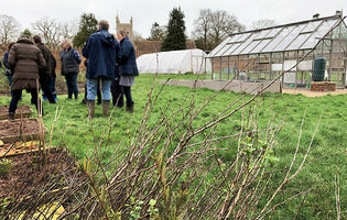 February at Norfolk School of Gardening - Stormy Weather & Spring Prep