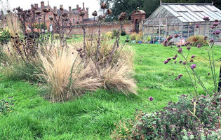 December at Norfolk School of Gardening - Winter Garden Jobs