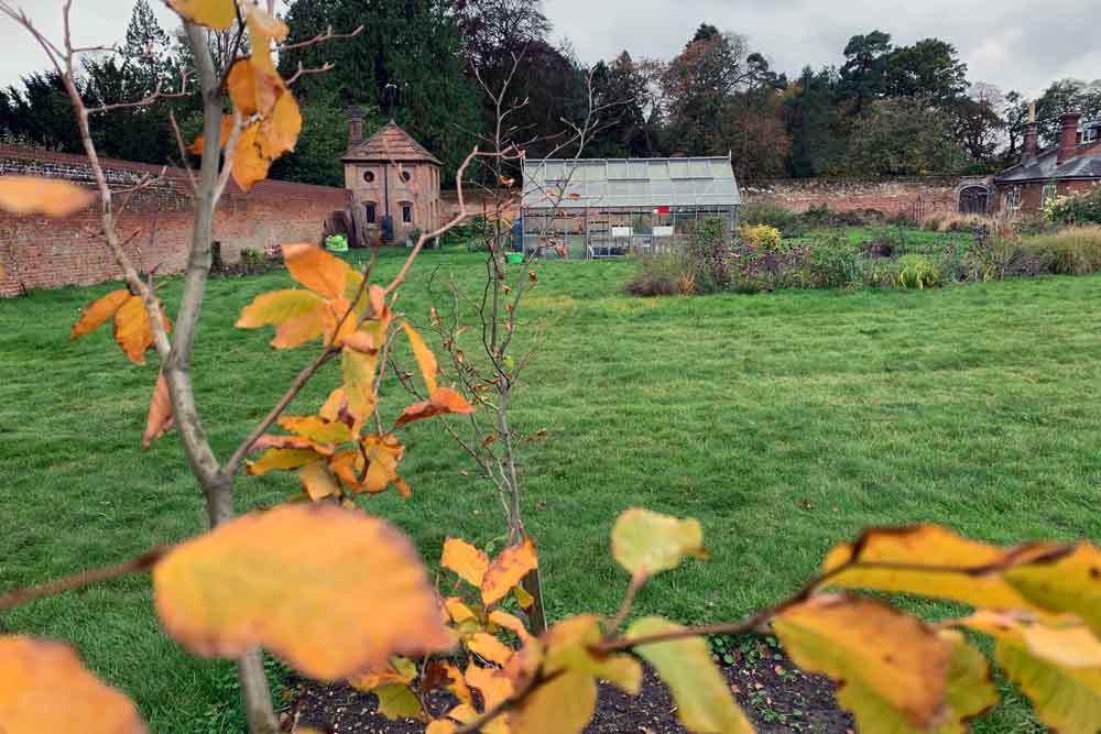 January at Norfolk School of Gardening - Garden Maintenance