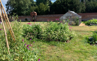 April at Norfolk School of Gardening - Wildflower Meadows & Rhino Raised Beds
