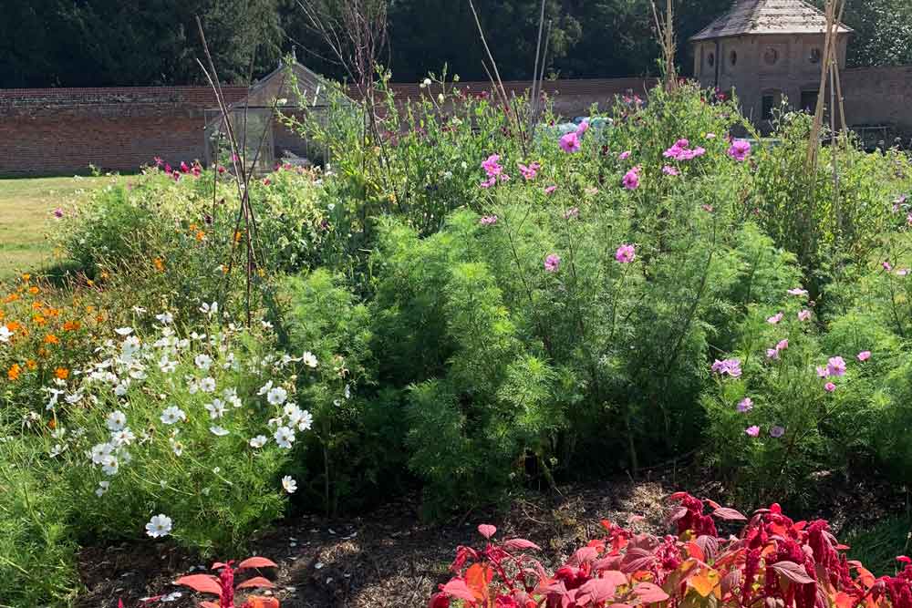 May at Norfolk School of Gardening - Checking for Pests and PlantGrow